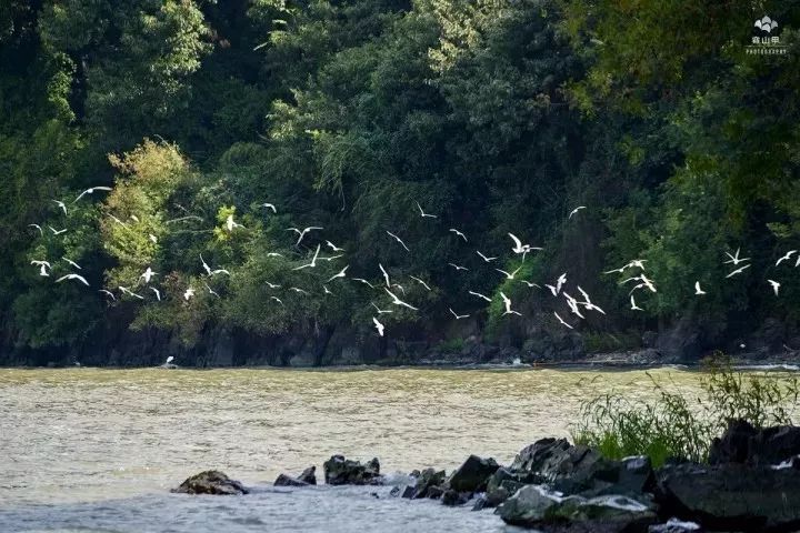 无锡江南古村,尧歌里古村入口景观工程