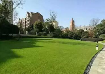 新力帝泊湾视频,新力帝泊湾新力君悦湾