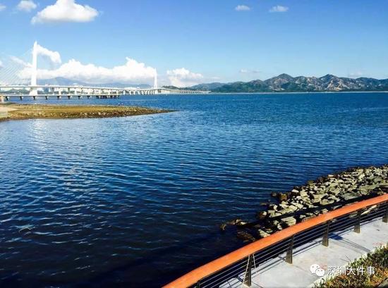 深圳新好玩的免费景点,深圳新出好玩的地方