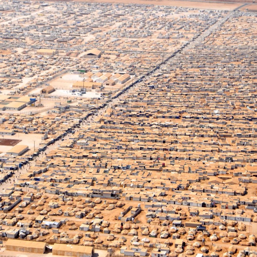 1部电影，2座建筑，3个城市，4场展览……2017年的36种元素