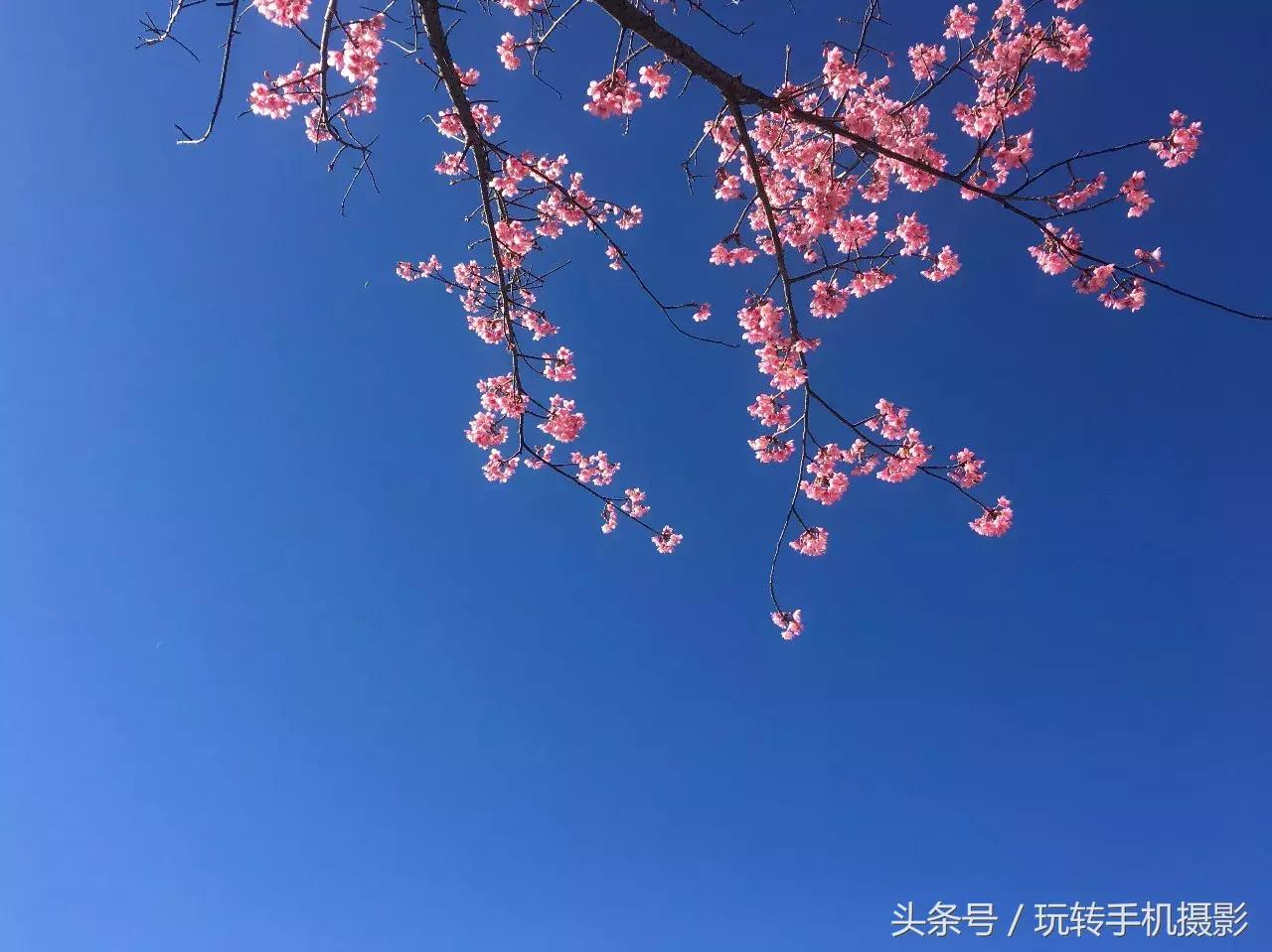 第十届全国手机摄影创作大赛,第一届广州手机摄影大赛