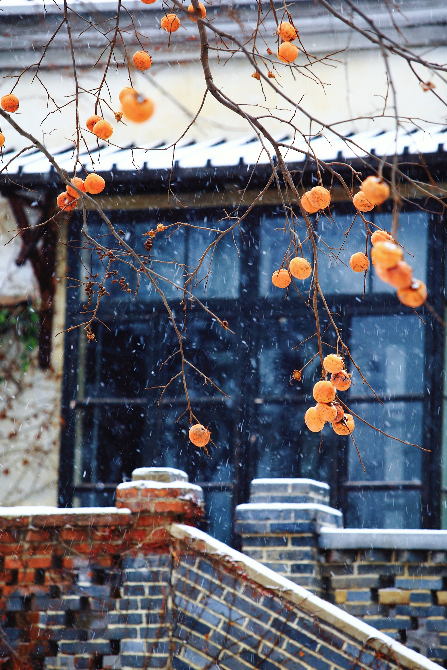 爱上旅顺这座城,爱上大连这座城市