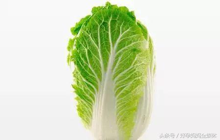 白菜叶就能改善乳涨？产后哺乳难题有救了！