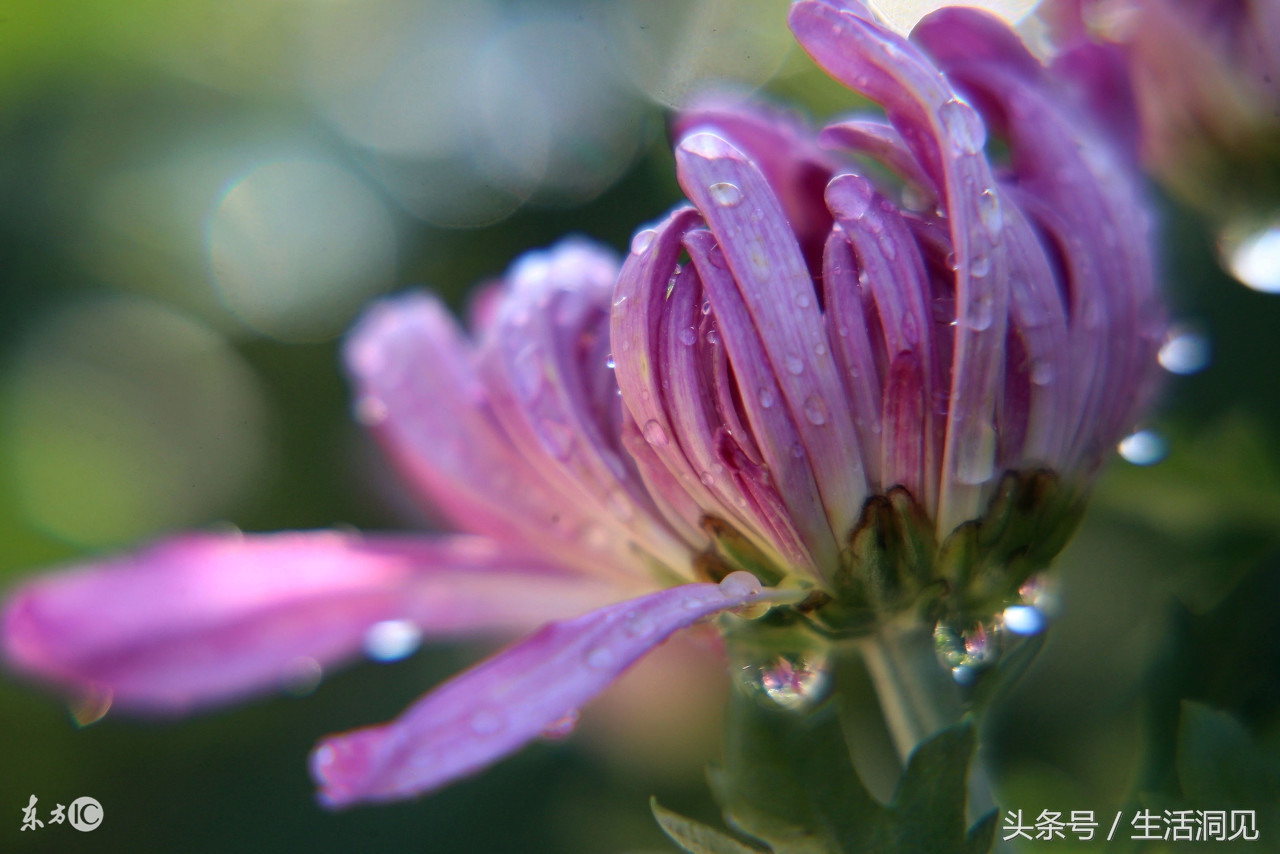 怎么样才能识破诈骗手段,生活处处是骗子套路