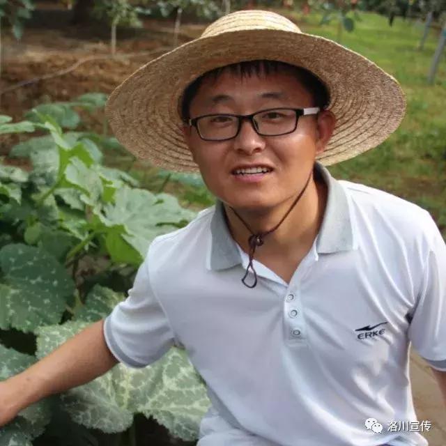 走过我的冬天,走过我们的2017完整版视频