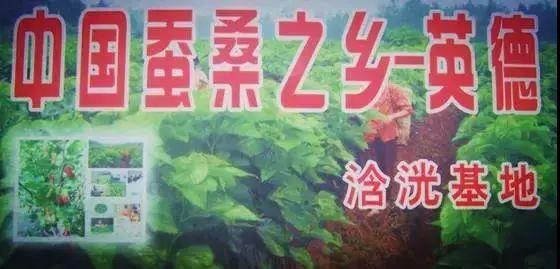 英德市特色,英德有几个特产