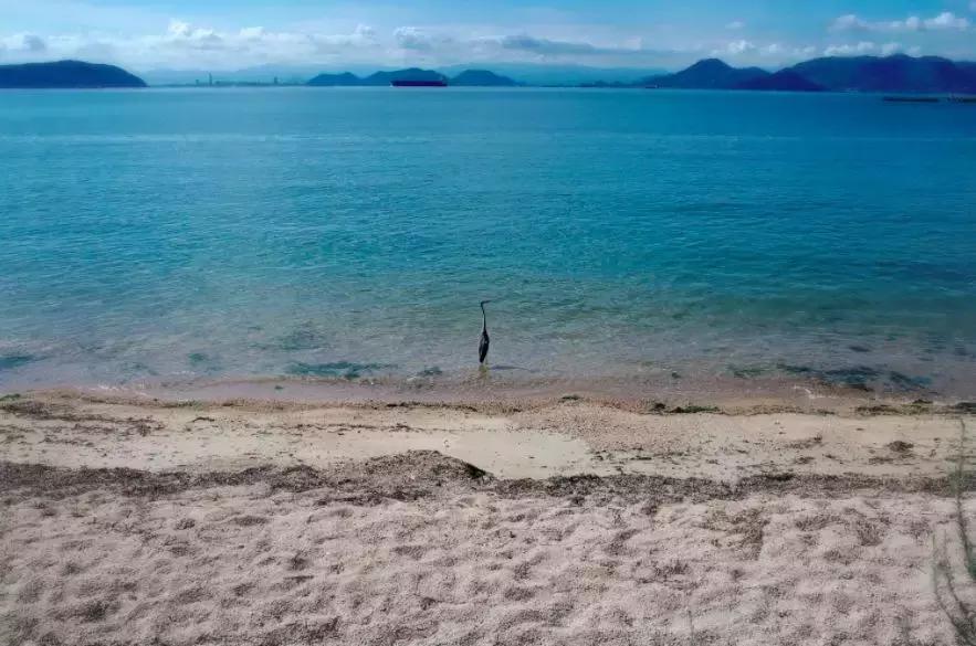 鍥涘浗宀涚箒浣撳瓧,鍥涘浗宀涙湁鍝簺浼犺