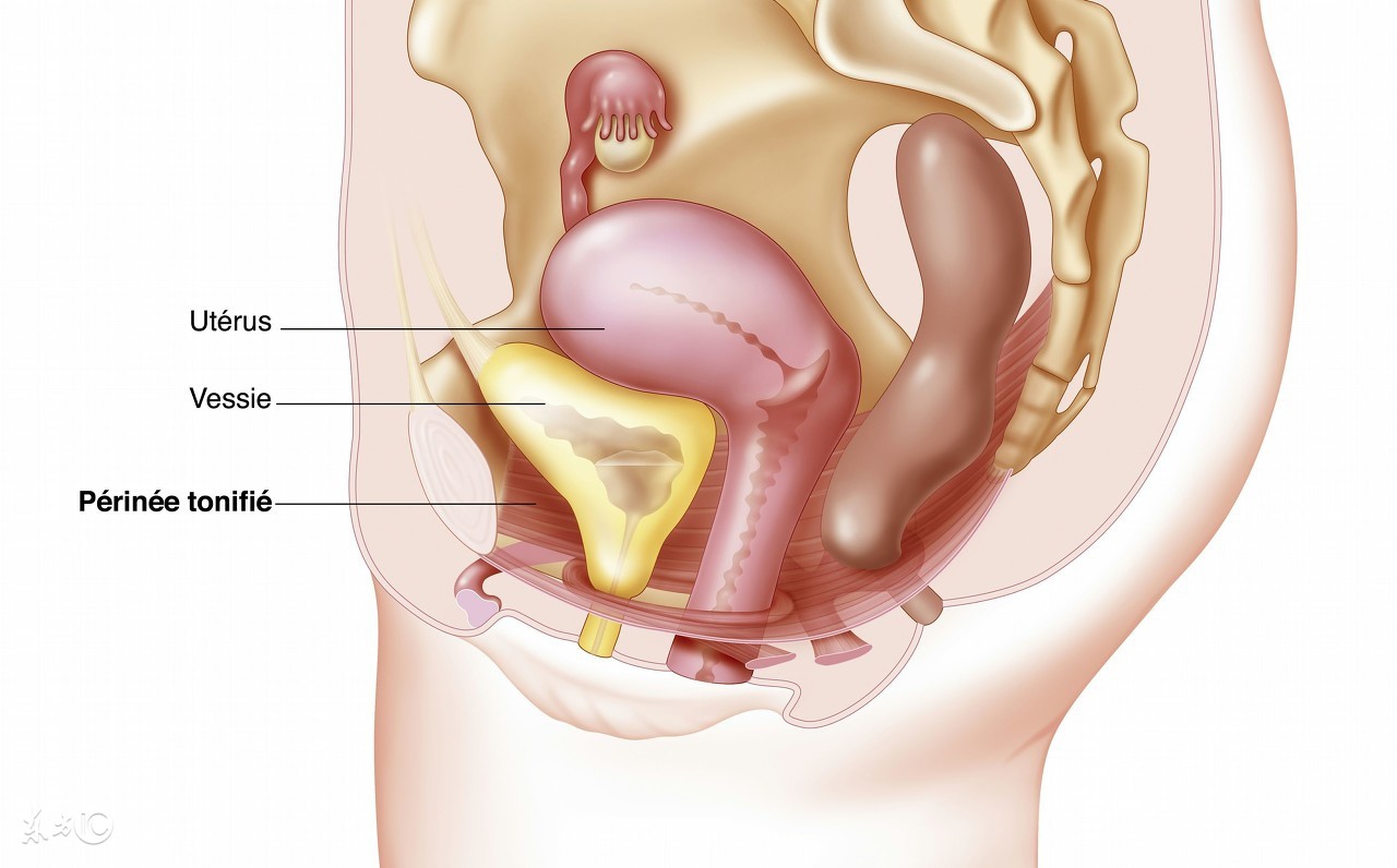产后排尿困难最有效的方法,产后排尿困难怎么办最快最有效
