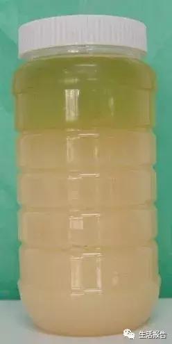 蜂蜜什么样的才是真的,什么样的蜂蜜才属于好蜂蜜