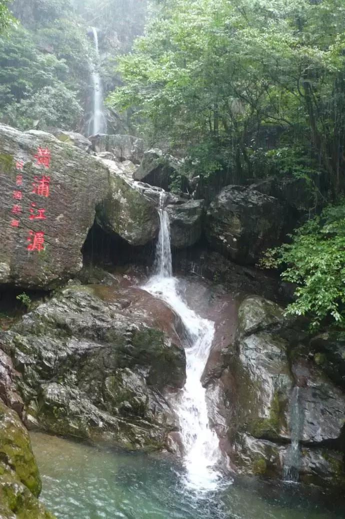 青山为伴！他在安吉龙王山留下的脚印，可绕地球一圈有余