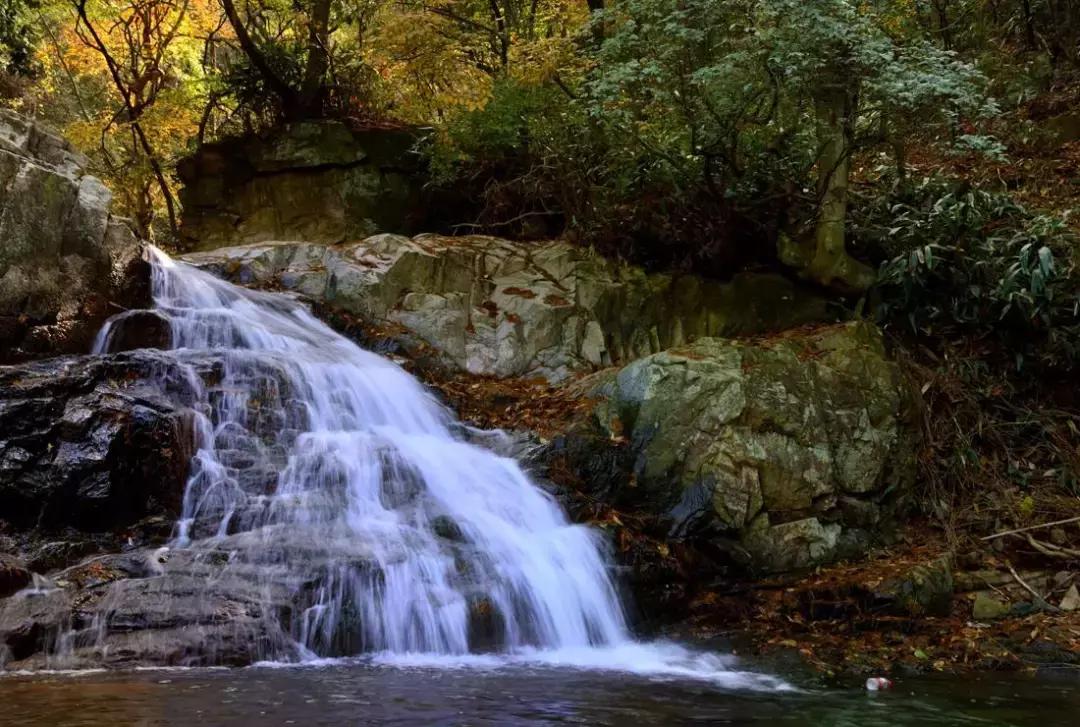 青山为伴！他在安吉龙王山留下的脚印，可绕地球一圈有余