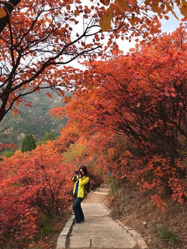 一个手机摄影师,一个摄影师日常记录生活