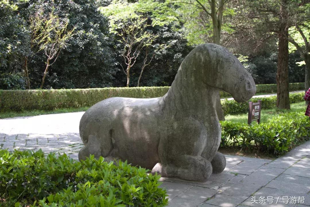 南京明孝陵600岁神道,南京明孝陵讲解视频完整版