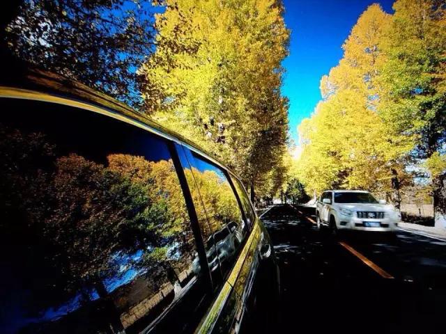 三里畈温泉度假村有什么好玩的,三里畈温泉度假村夜景