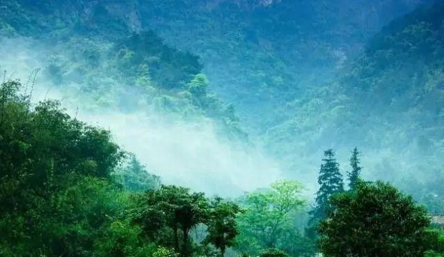 英德市特色,英德有几个特产