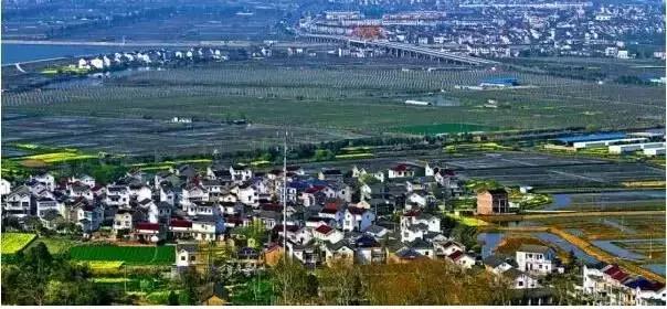 留在高淳还是去南京,在南京一定要去高淳吗