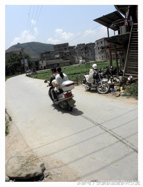 安溪茶农生活,茶农的地道生活
