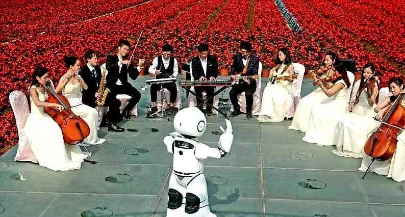 元旦假期别宅了，到粤港澳大湾区参加跨年派对吧！