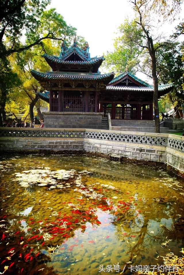 干货收藏150例,干货收藏5分钟