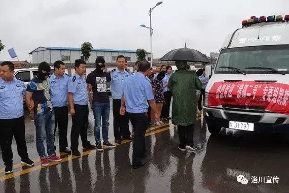 数说中国1921到1949,数说中国年12生肖