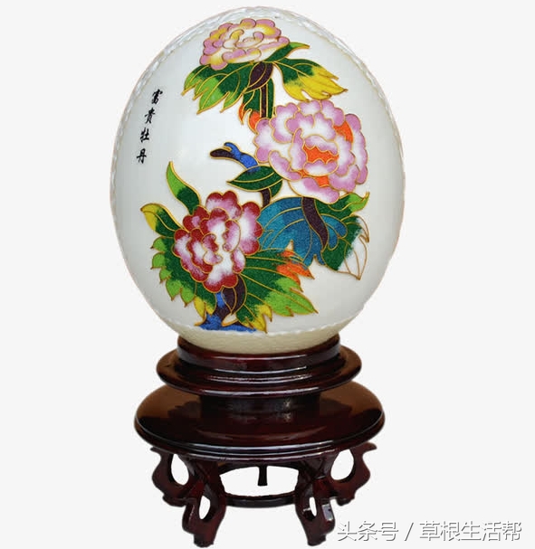 养殖“大笨鸟”，敲开致富门，80后回老家创业成为新一代农场主