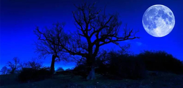 罗杰斯心理治疗教学录像,罗杰斯对心理学的最大贡献