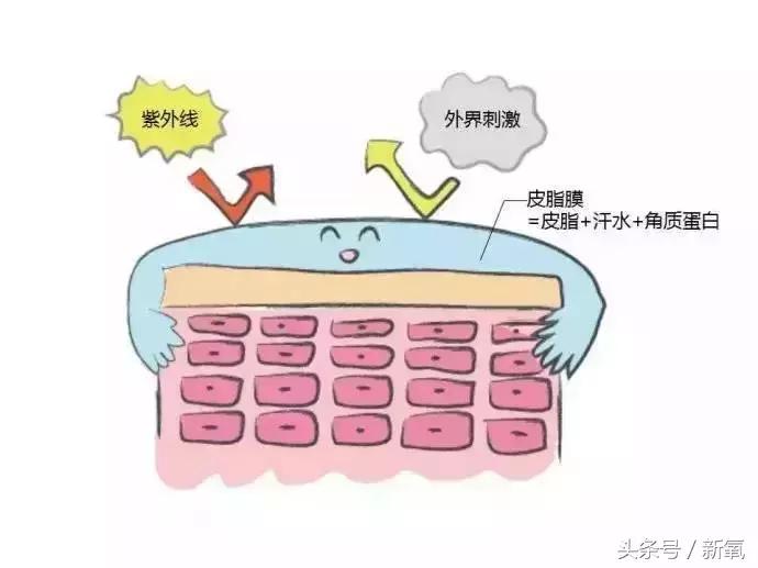 冯小刚钟楚曦苗苗,范冰冰和钟楚曦谁美