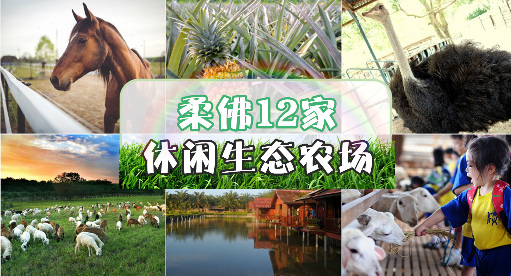 马来西亚新山市旅游,马来西亚亲子游玩地点推荐