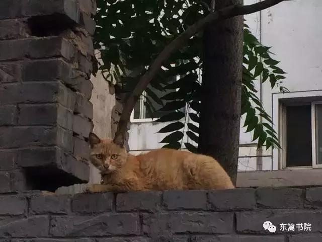 姑父和姑姑之间的亲情,姑父和侄子之间的亲情