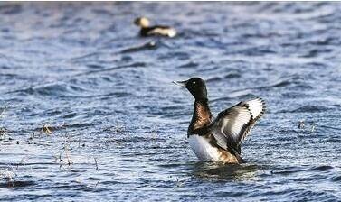 武汉各区3月份房价,武汉房价10-20年涨幅