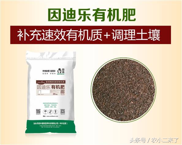 采果后使用什么肥,果园施有机肥正确方法