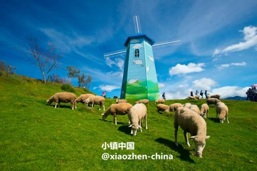 台湾清境农场，这里才是真正的清静之地！