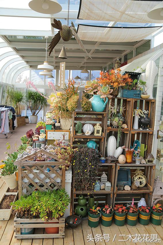 阳光房建设,怎样建造阳光房