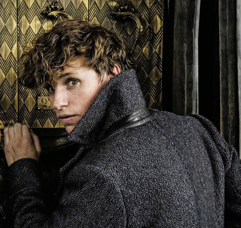 神奇动物2格林德沃之罪荆棘,神奇动物格林德沃之罪女角色