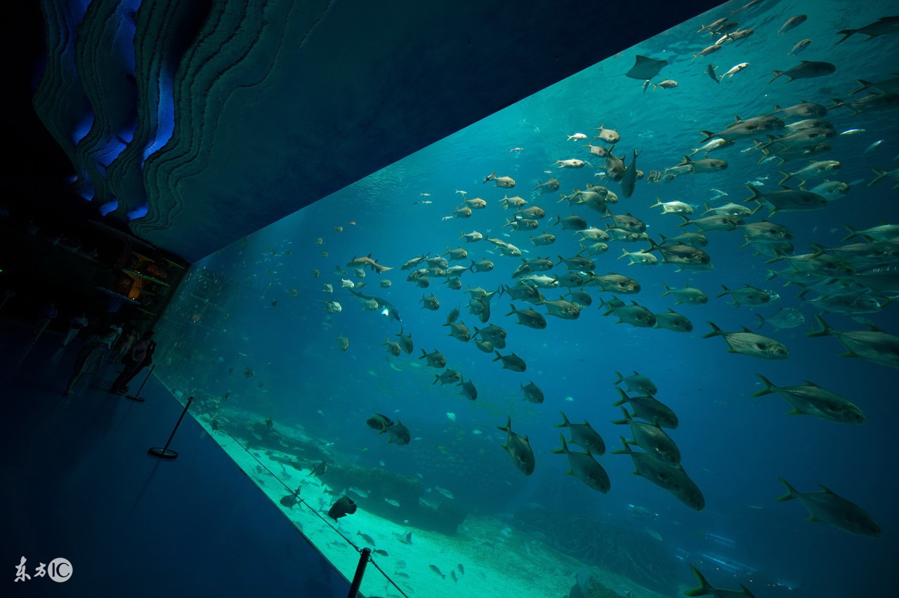 泉州去珠海长隆海洋王国的攻略,珠海长隆海洋王国游玩攻略情侣