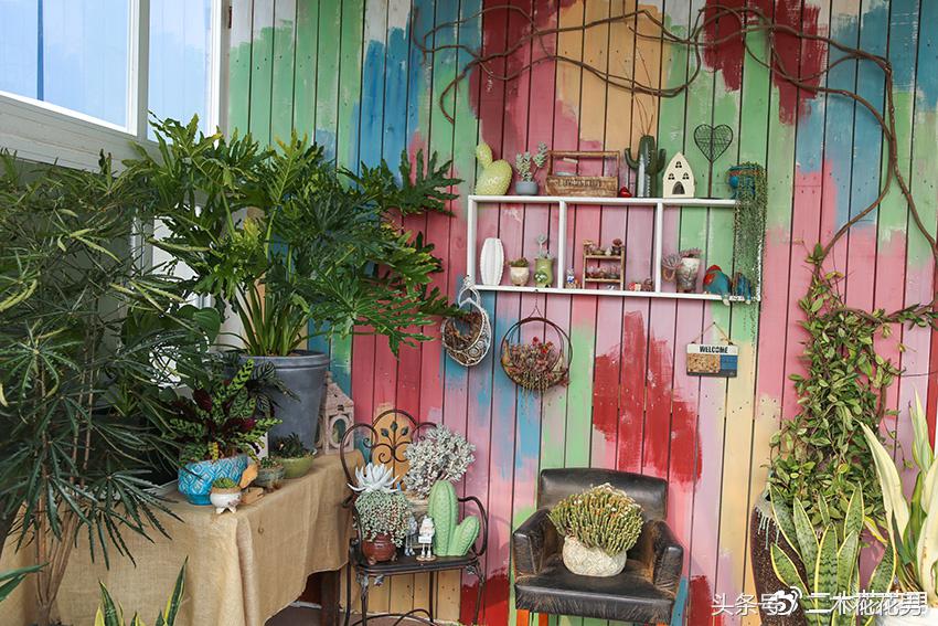 阳光房建设,怎样建造阳光房