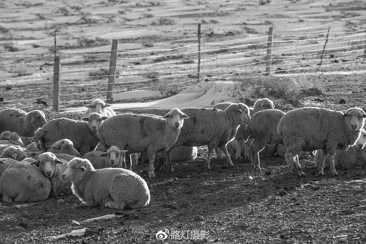 把喜欢的事做到极致诗句,能把喜欢的事做好