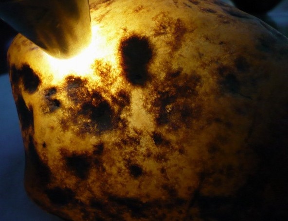 收破烂小伙得一千万,收破烂小伙买石头