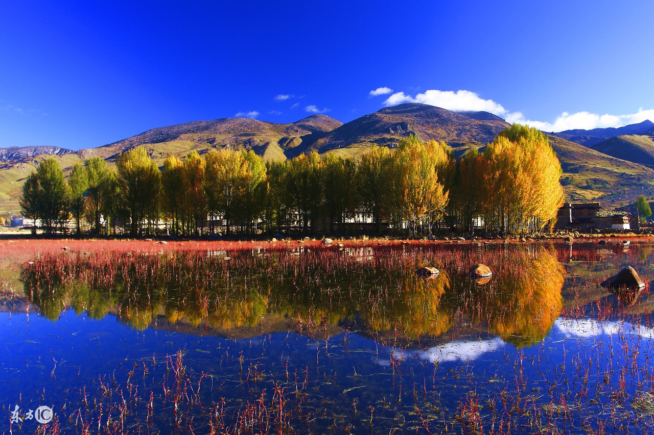 棣欐牸閲屾媺灏忚,棣欐牸閲屾媺灏忚by鏄ユ棩璐熸殑