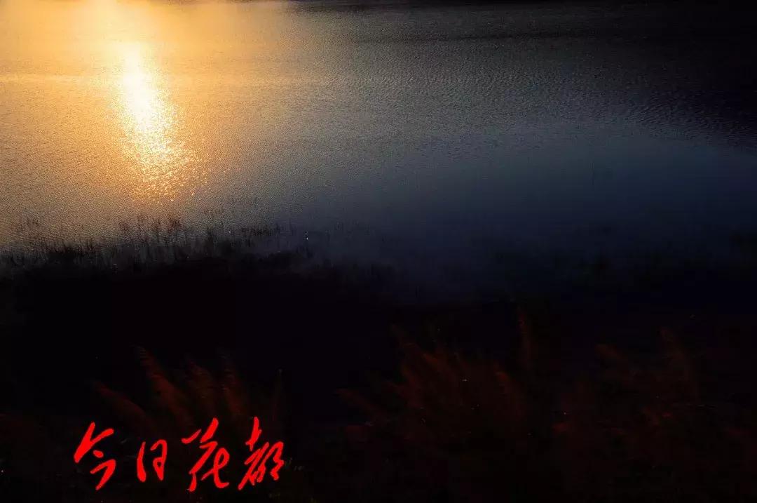 花都芙蓉嶂旅游景点,花都芙蓉嶂夜景