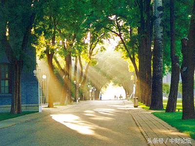 注定就是错误的相遇,有些错误注定是不可被原谅的