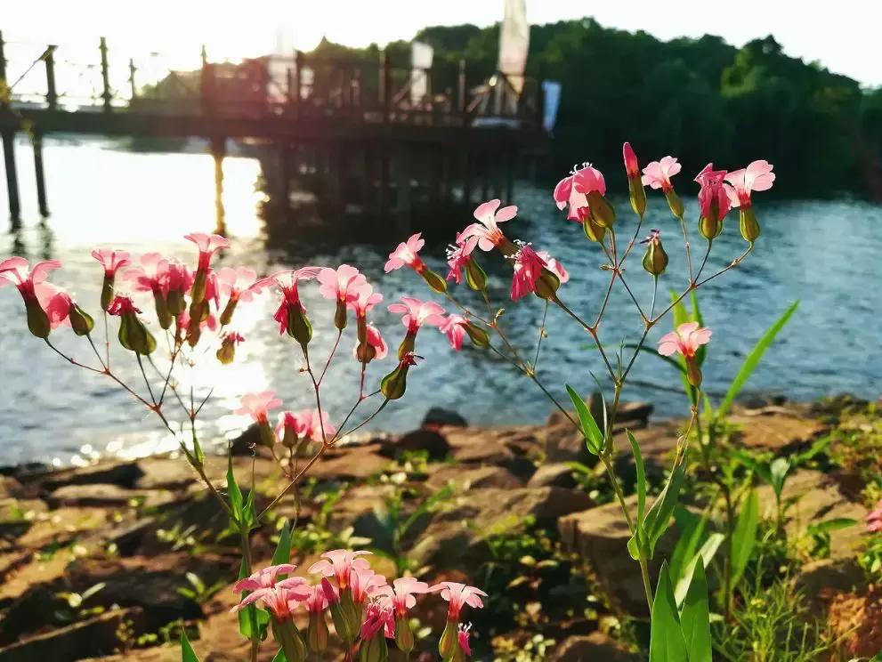 溧阳，江南私藏的秘境小城！
