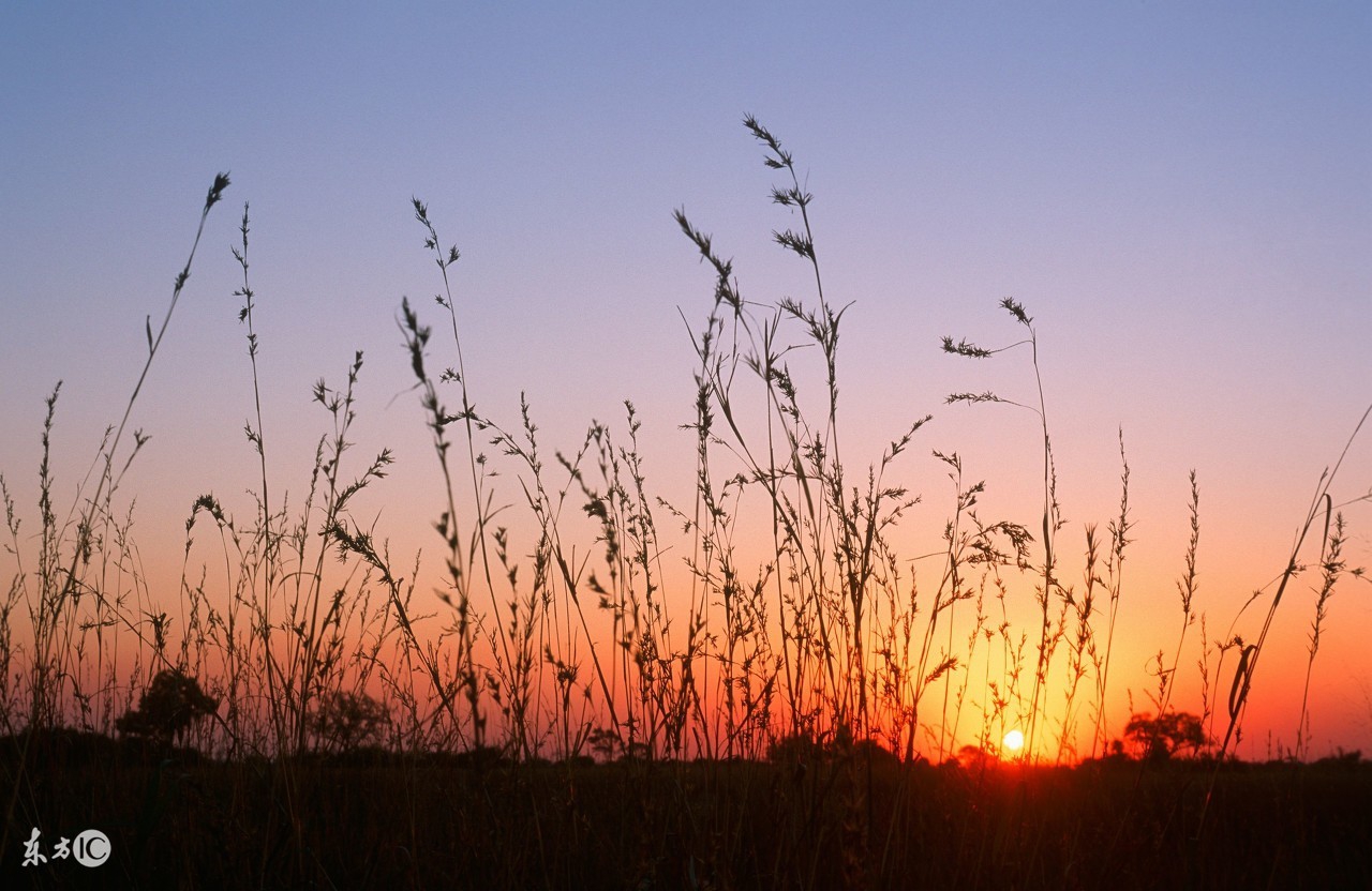 蹇冨悜榛戞殫涓嶅緱鍏夋槑,蹇冨悜鍏夋槑浣曟儳榛戞殫