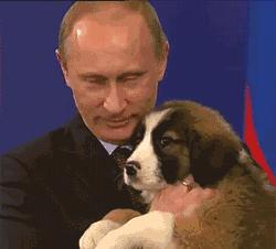 cosme大赏韩国,cosme大赏前三评测