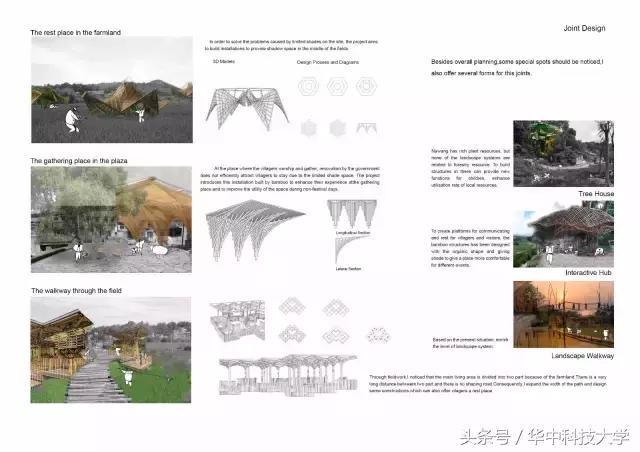 「华中大美人志」美人如婳—李婳