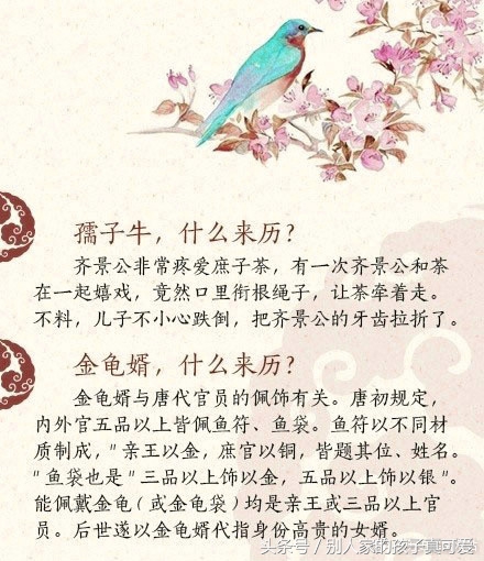 传统文化的中国俗语,中华文化的俗语大全