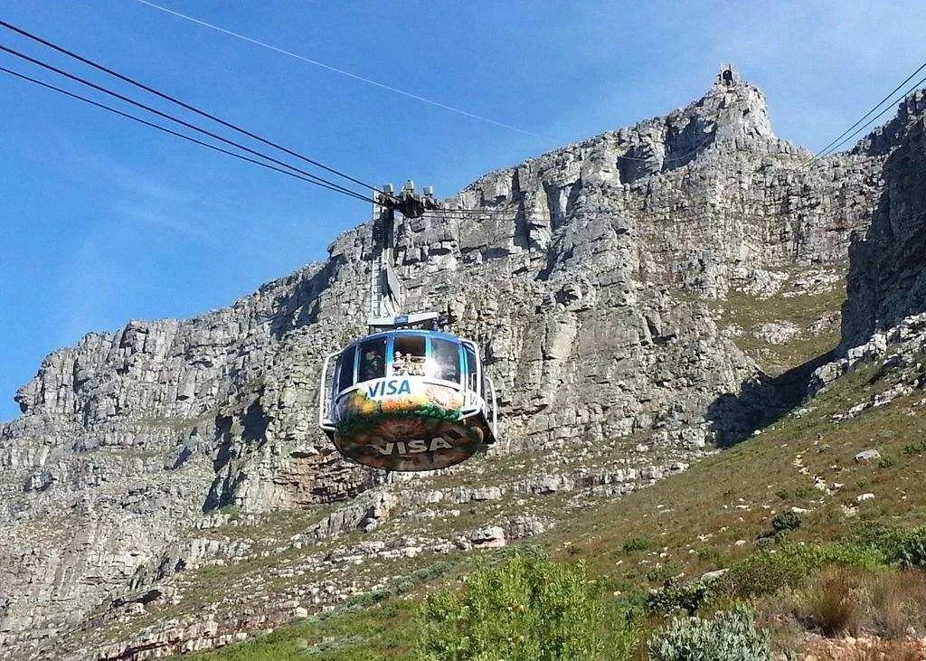 南非线路攻略｜与鲨共舞、沙漠开花、隔海观鲸，你了解非洲吗？