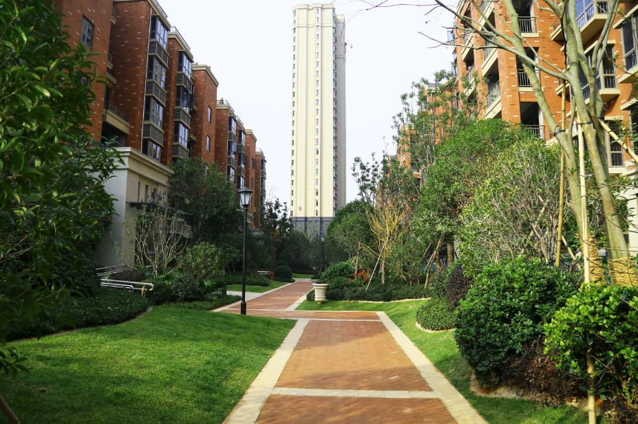 涓厗鏄熸渤姹囦竴鍙疯嫅,鎯婅壋缁芥斁