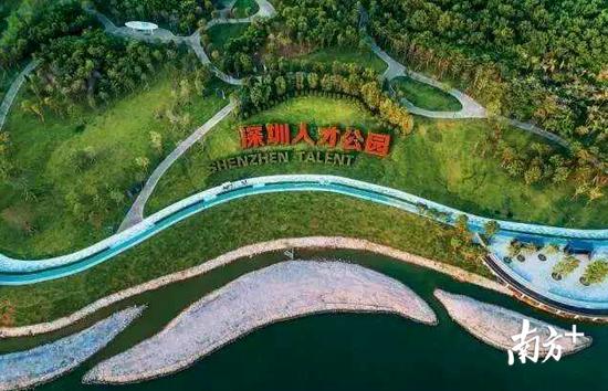 深圳新出好玩的地方,深圳市哪些公园比较值得去