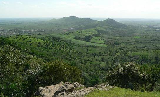 沈阳最漂亮的十大美人,沈阳女孩最漂亮的照片